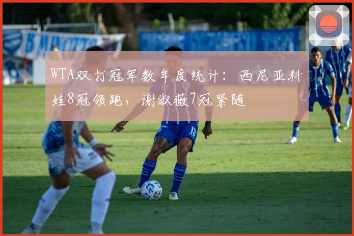 WTA双打冠军数年度统计:西尼亚科娃8冠领跑,谢淑薇7冠紧随